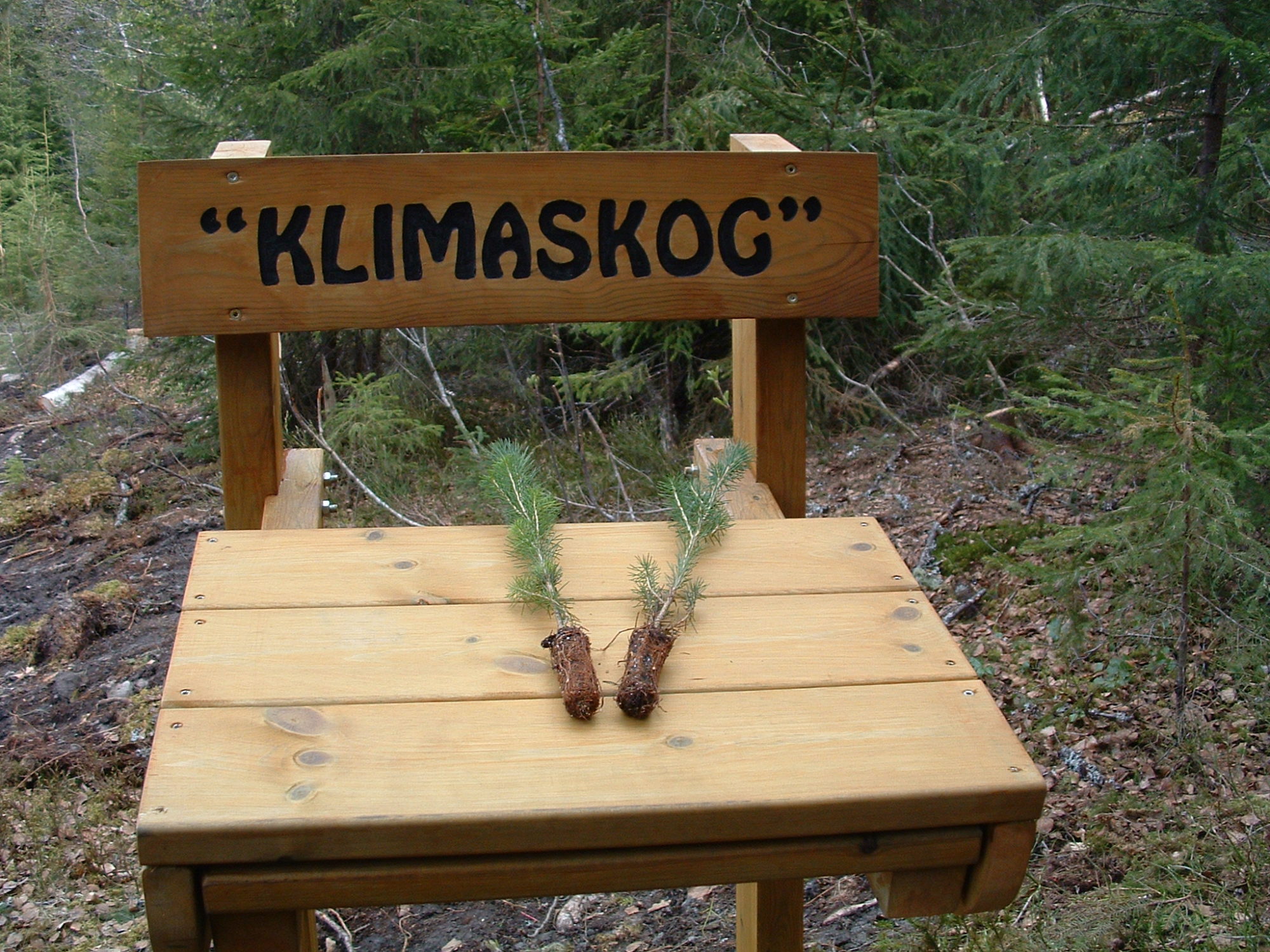 Klimaskog Klimaskog