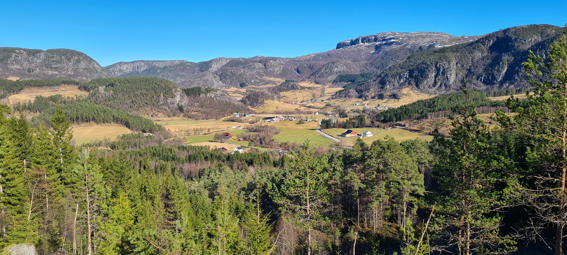 garden Bygda Vormedalen, Hjelmeland kommune i Rogaland.
I denne flotte, frodige bygda er det m.a. 15 gardsbruk i drift. Produksjonane er i hovudsak mjølk, kjøt (sau, storfe) og tømmer.