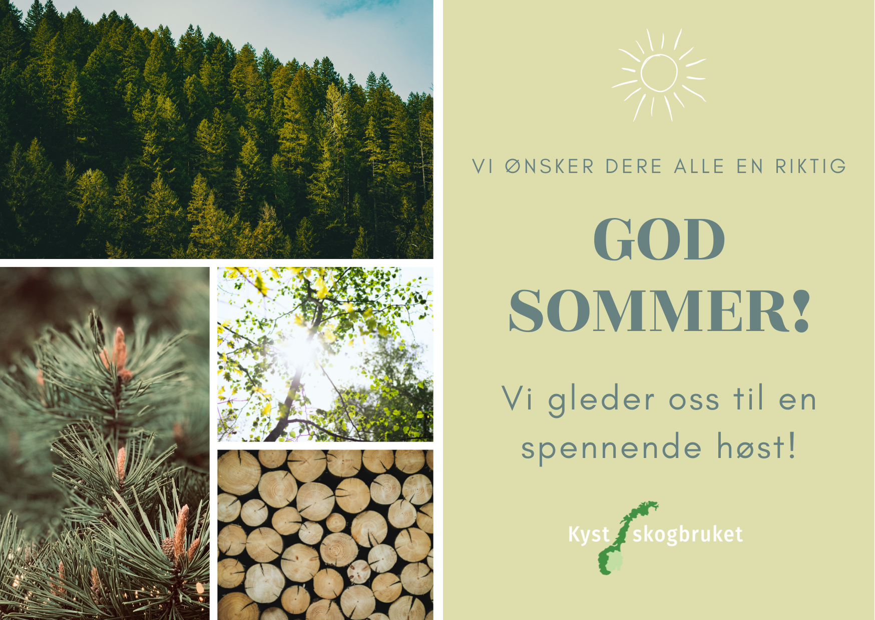 God sommer!