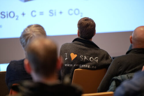 DSC_3798 (Foto Bjørn Eide)