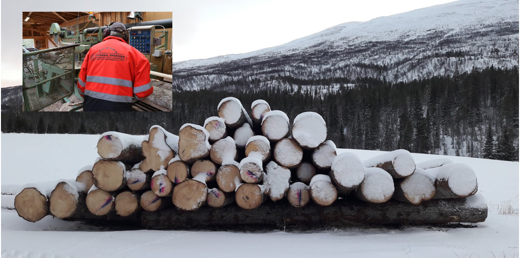 VIDERE~1 Børgefjell-laft i Hattfjelldal sentrum baserer sin produksjon på virke fra Susendalen, og de fem ansatte produserer laftede tømmerhus- og hytter basert på gamle håndverkstradisjoner til hele landet. Her kan du bestille skreddersydde løsninger for ditt behov. Bedriften ble opprinnelig etablert på 90-tallet da Statskog omorganiserte, og har i løpet av disse årene funnet sin nisje i markedet.
