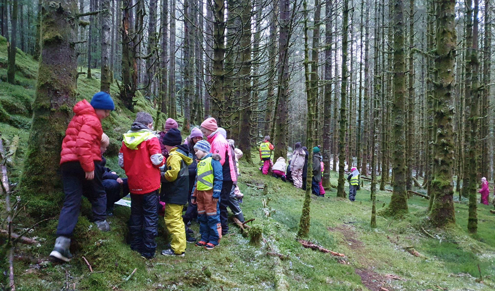 1920 Skoleskogdag Søfteland 2 Skogselskapet i Bergen og Hordaland har ei 125 år lang historie der informasjon til barn og ungdom har vore sentralt. Dette biletet er teke ved ein nyleg arrangert skuleskogdag på Søfteland i Bjørnafjorden kommune like utanfor Bergen.
Foto: Atle Toft Almeland.
