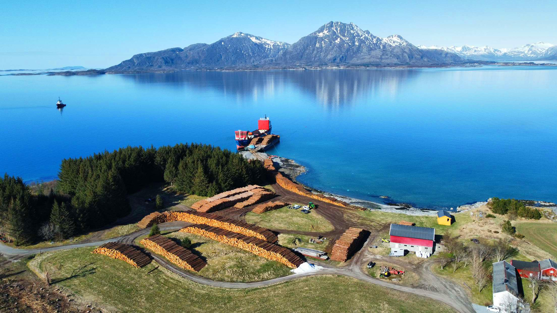 Det har vore hogge mykje sitkagran av god kvalitet på Løkta, ei lita øy rett nord for Sandnessjøen.
Foto: Bjørn Borgan.