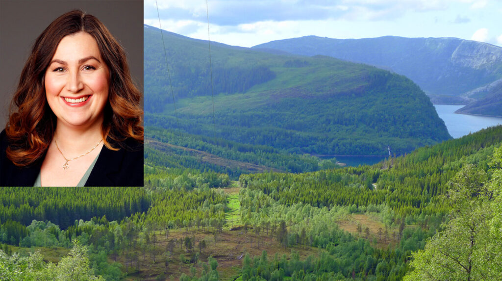 Ordførar Marlen Rendall Berg (bilde: fotograf Holst) kan vente seg rikeleg tømmer frå ein stor region med mykje planta skog, her frå Beiarn som ligg i søndre del av dekningsområdet for ein framtidig tømmerkai i Fauske.