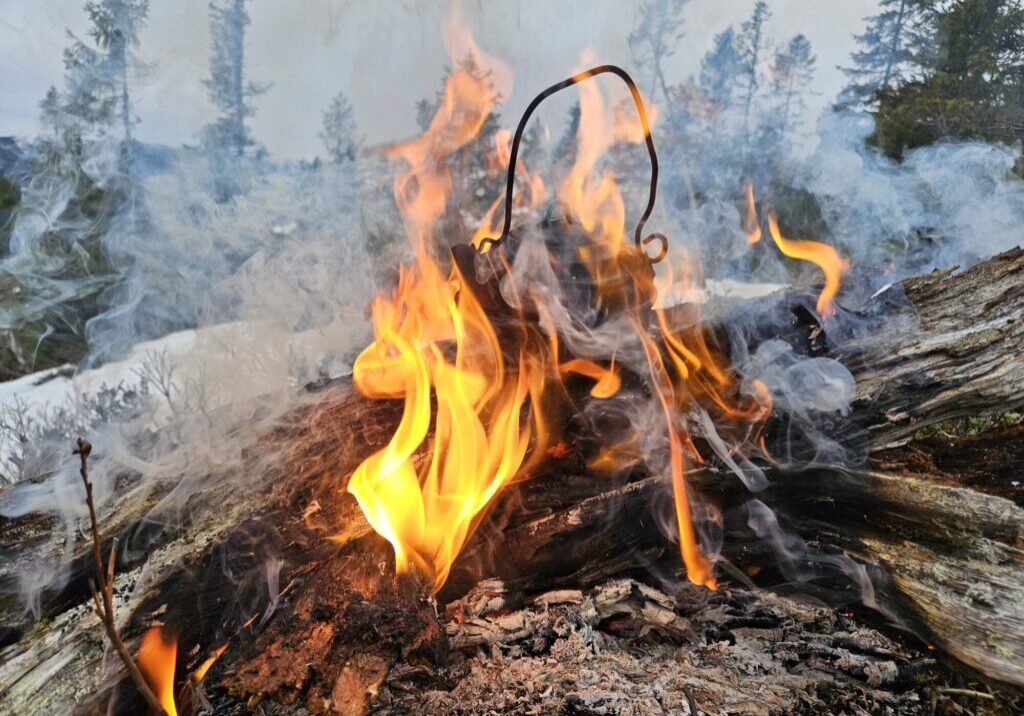 Foto: Rune Hedegart/WoodWorks!